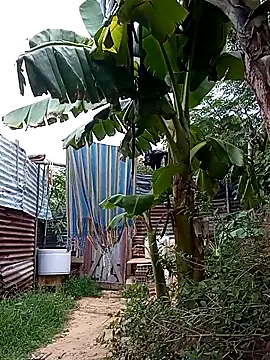 Snapshot of tayson_ chatting on 03-14-25, 11:34 tayson online show from 03-14-25, 11:34