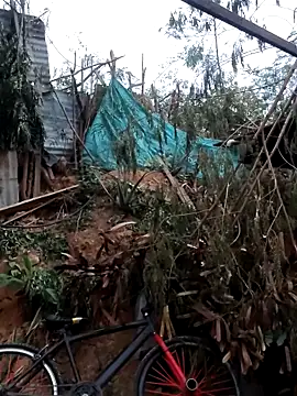 Snapshot of tayson_ chatting on 02-07-26, 11:36 tayson online show from 02-07-26, 11:36