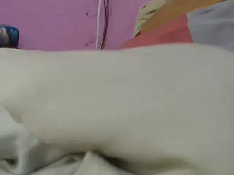 Snapshot of Cheliafun chatting on 06-29-26, 01:33 Cheliafun online show from 06-29-26, 01:33
