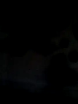 Snapshot of Leocesar37 chatting on 06-21-26, 05:43 Leocesar37 online show from 06-21-26, 05:43