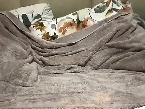 pe netrad0r online show from 03-29-26, 02:22