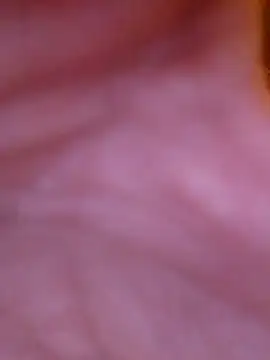 Freddyking146f online show from 11-30-25, 01:42