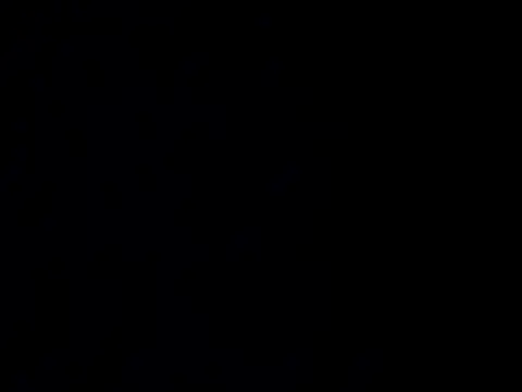 nupa230780 online show from 04-29-26, 04:22