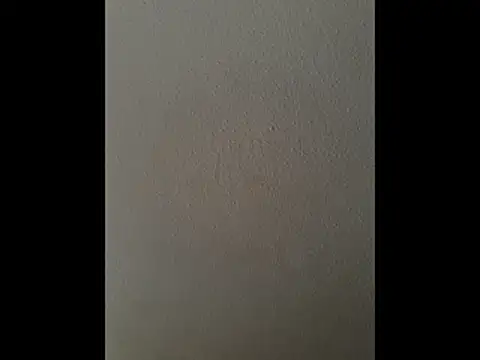 Snapshot of cretanbi chatting on 11-21-25, 12:48 cretanbi online show from 11-21-25, 12:48