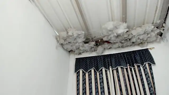 Snapshot of Lauu_G chatting on 03-07-26, 01:52 Lauu G online show from 03-07-26, 01:52