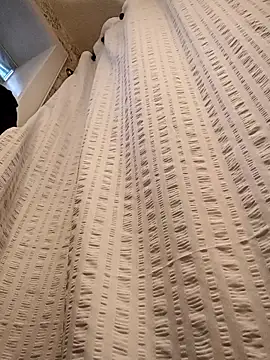 Snapshot of Brickstash chatting on 11-04-25, 01:10 Brickstash online show from 11-04-25, 01:10