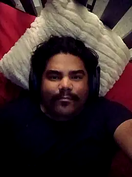 Snapshot of Brickstash chatting on 11-08-25, 06:35 Brickstash online show from 11-08-25, 06:35