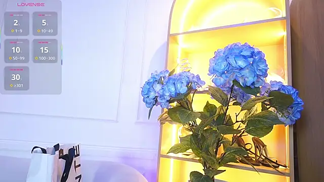 elasummer online show from 11-28-25, 11:57