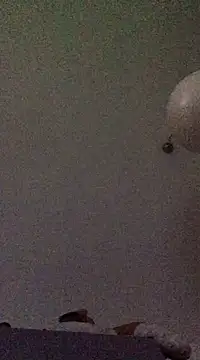 babylonia4sex online show from 12-10-24, 11:43