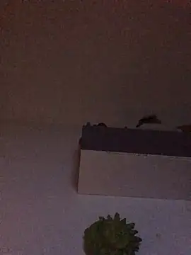 babylonia4sex online show from 01-31-25, 11:13