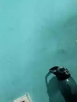 Snapshot of Rani_devi88 chatting on 02-24-25, 09:43 Rani devi88 online show from 02-24-25, 09:43