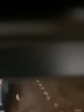 evoscenteno online show from 12-30-24, 12:32