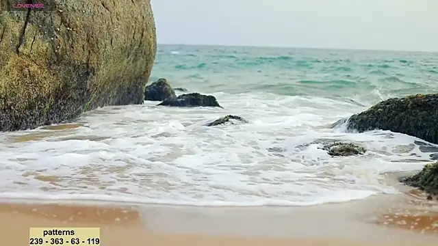 Snapshot of _sex_in_paradise_ chatting on 01-16-25, 12:55 sex in paradise online show from 01-16-25, 12:55