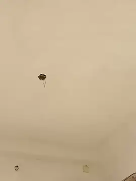 Lexi Baby  online show from 12-13-24, 08:09