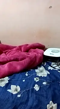 Snapshot of maftel chatting on 12-27-24, 01:53 maftel online show from 12-27-24, 01:53