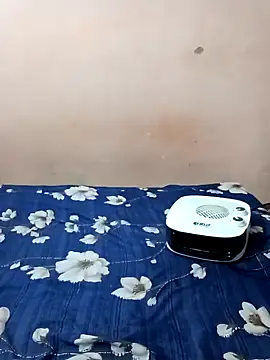 Snapshot of maftel chatting on 01-21-25, 02:33 maftel online show from 01-21-25, 02:33