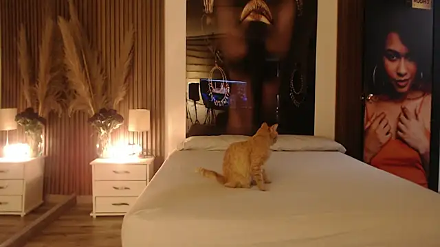 Sam mansson66 online show from 11-14-25, 02:27