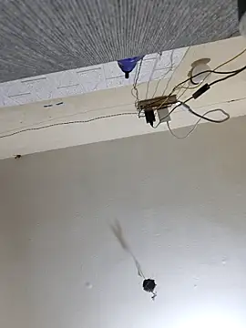 Snapshot of Neha8923 chatting on 03-13-25, 01:32 Neha8923 online show from 03-13-25, 01:32