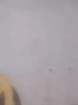 Snapshot of Ramya-Lovely chatting on 12-01-24, 06:52 Ramya-Lovely online show from 12-01-24, 06:52