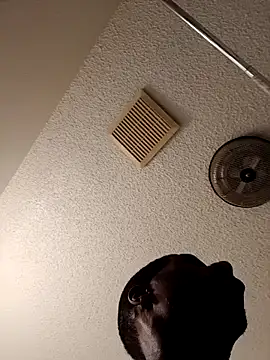 Snapshot of willywonka7793 chatting on 03-03-25, 04:56 willywonka7793 online show from 03-03-25, 04:56