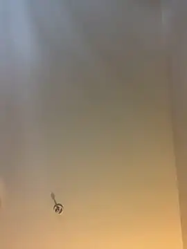 themasteer69 online show from 02-03-26, 08:36