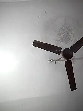 sana14 online show from 12-19-25, 07:04