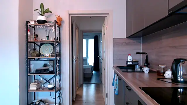 jainesummer online show from 03-12-25, 08:19