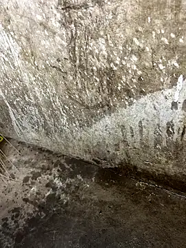 Snapshot of tamil000000 chatting on 01-12-26, 01:05 tamil000000 online show from 01-12-26, 01:05