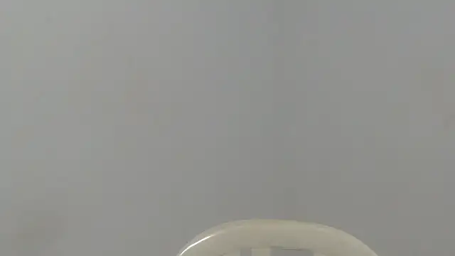 estefania224 online show from 05-19-26, 11:55