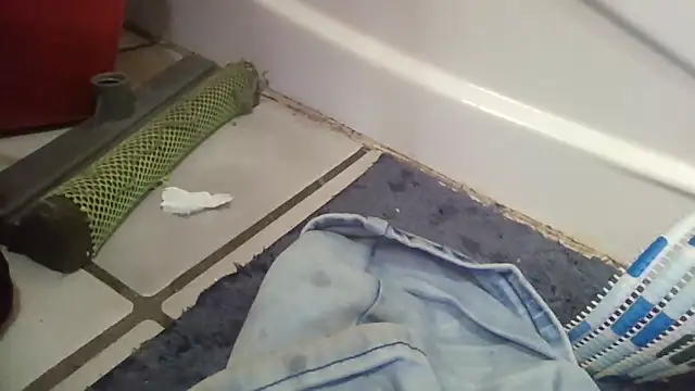 CandiedPompano online show from 11-20-25, 03:18