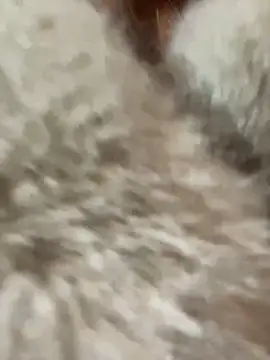 babydolll online show from 01-10-25, 04:30