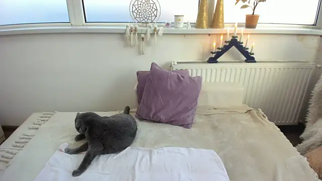 Arya Shinex online show from 01-09-25, 08:13