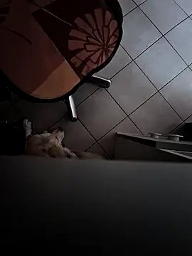 Snapshot of HardWolf2024 chatting on 12-09-24, 02:49 HardWolf2024 online show from 12-09-24, 02:49