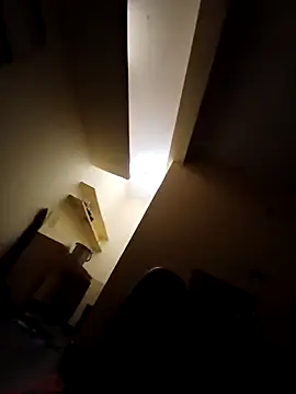 Snapshot of ken_tanaka chatting on 02-03-25, 03:53 ken tanaka online show from 02-03-25, 03:53