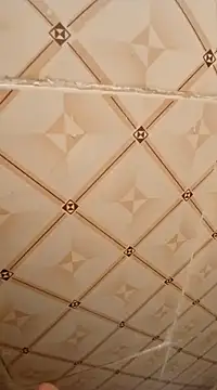 Snapshot of ken_tanaka chatting on 02-18-25, 03:31 ken tanaka online show from 02-18-25, 03:31