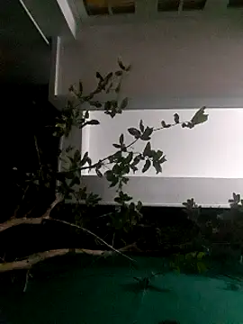 Jhon837486 online show from 12-29-24, 02:21