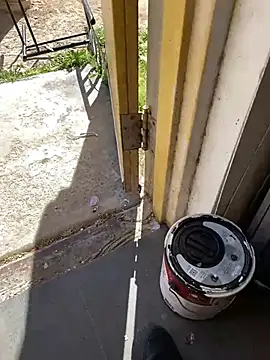 jr91esl online show from 03-02-25, 08:18