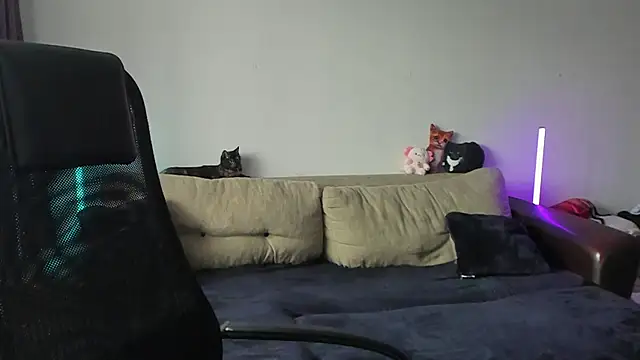Ostin meow online show from 07-03-26, 01:06