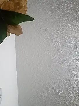 Naomy veracruz  online show from 03-08-26, 10:52