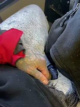 Fuckboy4public online show from 12-29-24, 04:08