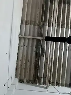 Sex-Nia online show from 12-19-24, 04:57