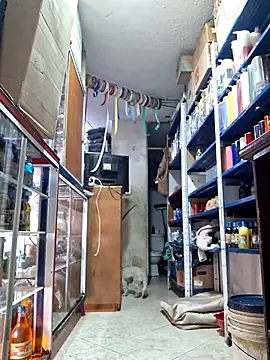 Snapshot of nidia2026 chatting on 03-01-25, 06:32 nidia2026 online show from 03-01-25, 06:32