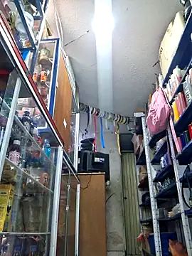 Snapshot of nidia2026 chatting on 11-20-25, 03:34 nidia2026 online show from 11-20-25, 03:34