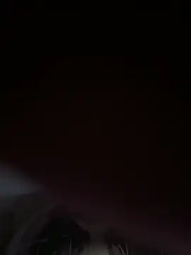 Snapshot of shyfr34k chatting on 12-29-24, 04:27 shyfr34k online show from 12-29-24, 04:27