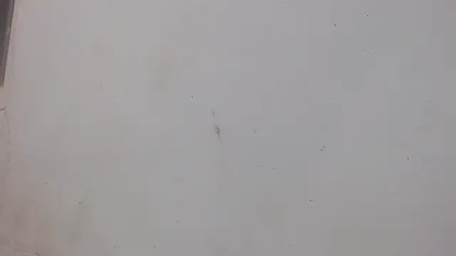 danilo302209 online show from 02-01-25, 01:02