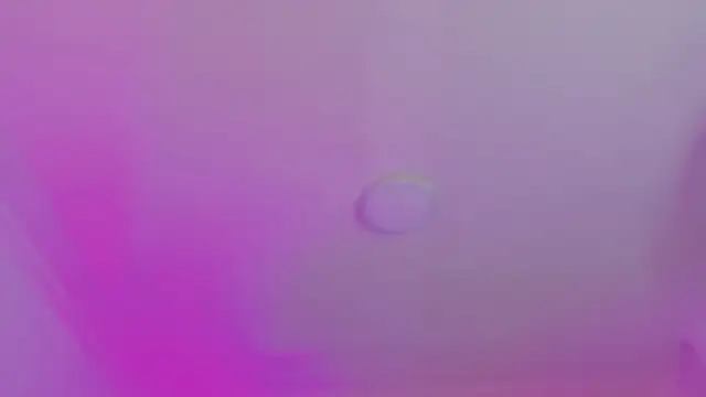 AlliJadid online show from 11-19-25, 11:21