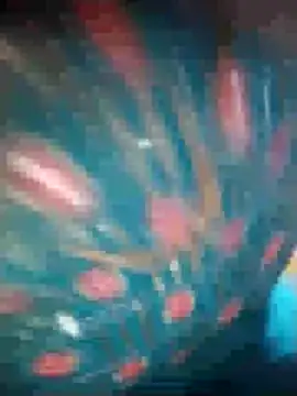 Ruby Sc online show from 12-08-24, 01:36