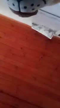 Snapshot of Darly_Gomez chatting on 12-31-24, 04:46 Darly Gomez online show from 12-31-24, 04:46