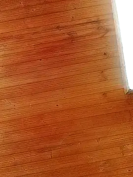 Snapshot of Darly_Gomez chatting on 03-01-25, 04:00 Darly Gomez online show from 03-01-25, 04:00