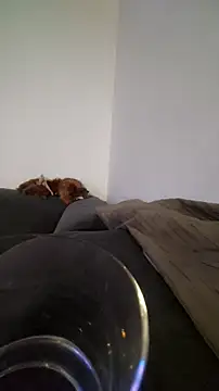 Snapshot of houy111111 chatting on 10-22-25, 10:20 houy111111 online show from 10-22-25, 10:20